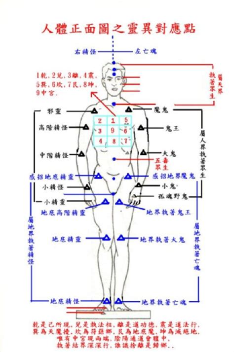 八卦身體部位